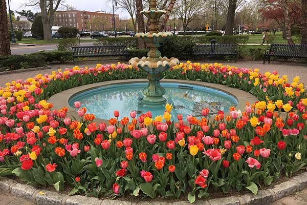 fountain with colorful flowers in Garden City NY
