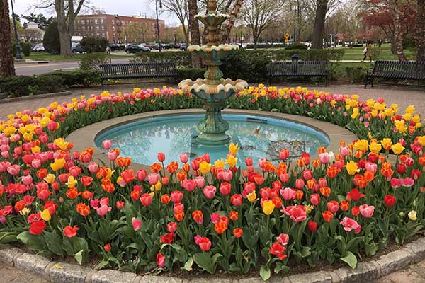 About Us fountain with colorful flowers in Garden City NY
