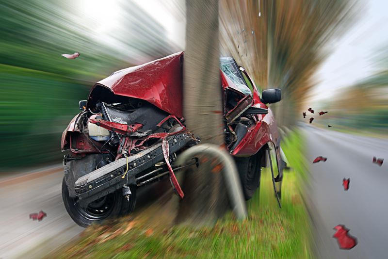 News car-crashed-into-a-tree