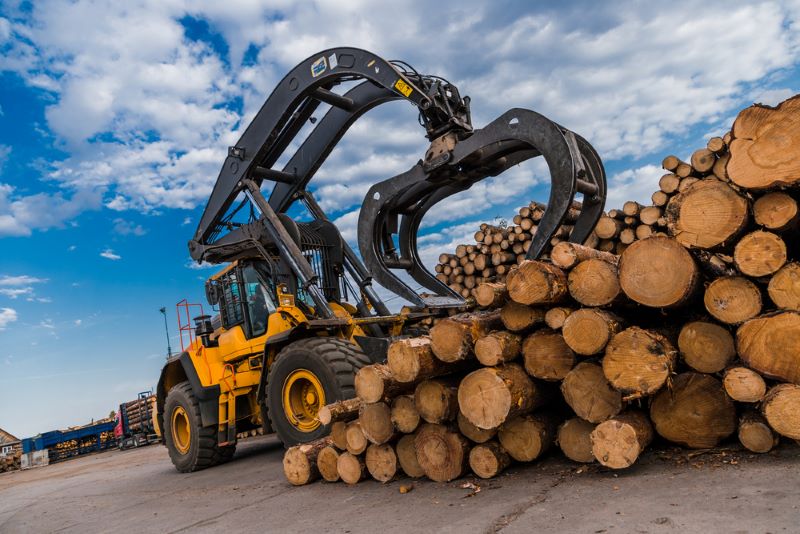 Logging Accident in Ripley