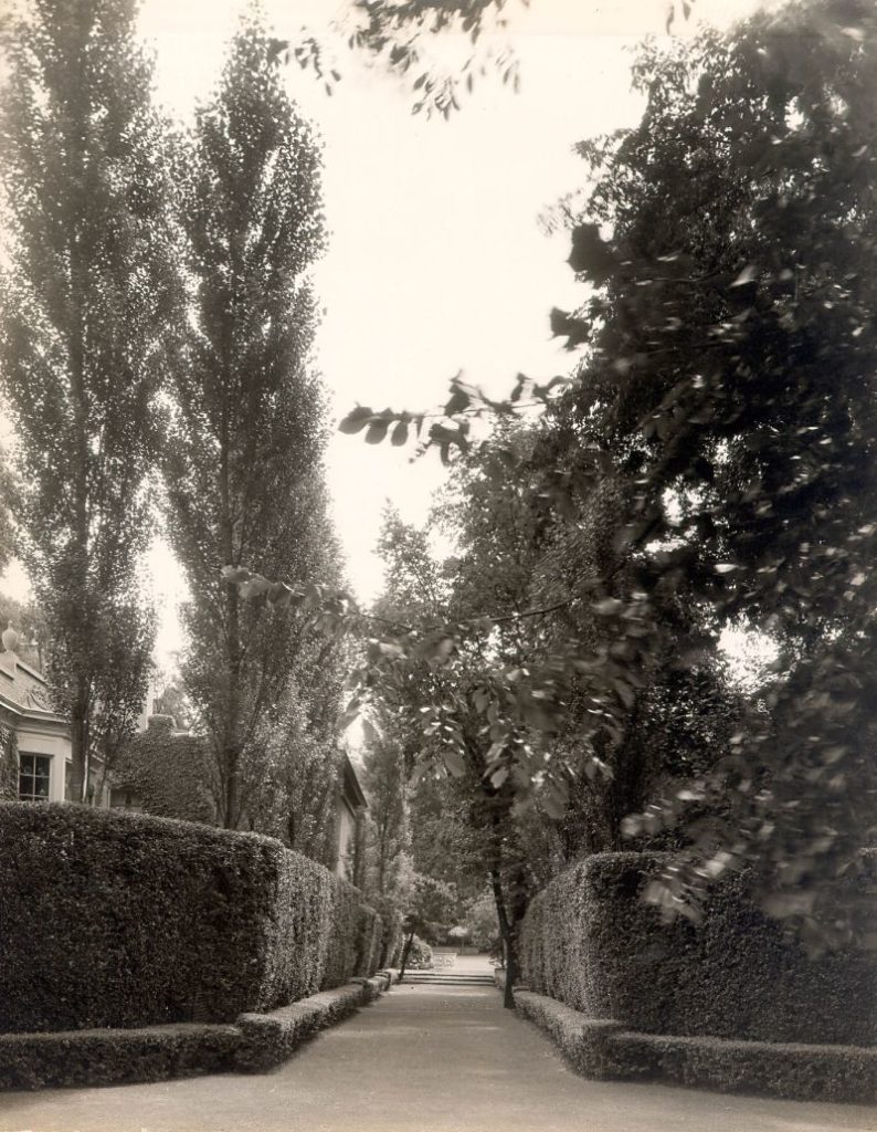 Mrs. Knox's Yard and Hedges