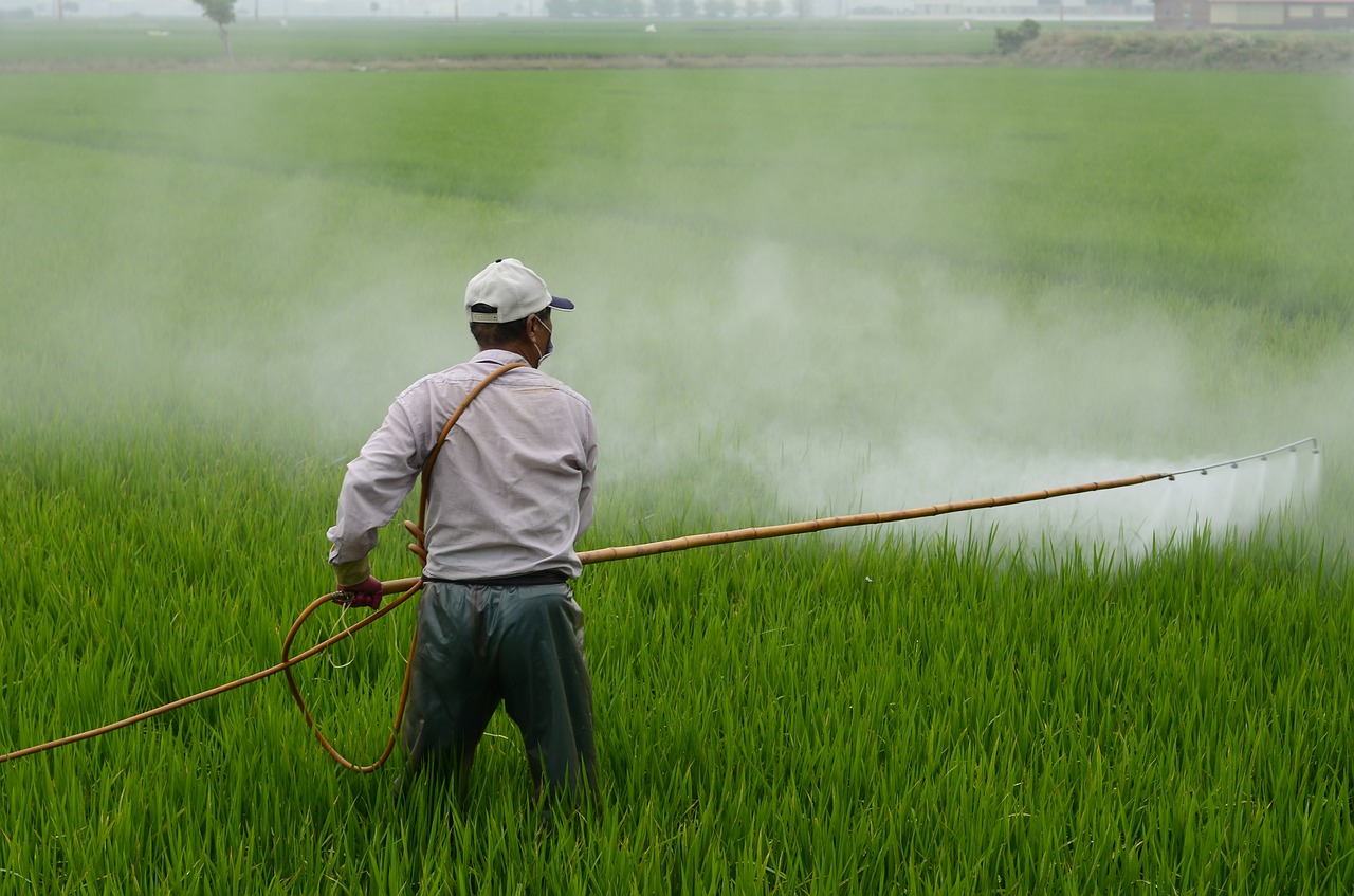 person spraying crops with herbicide