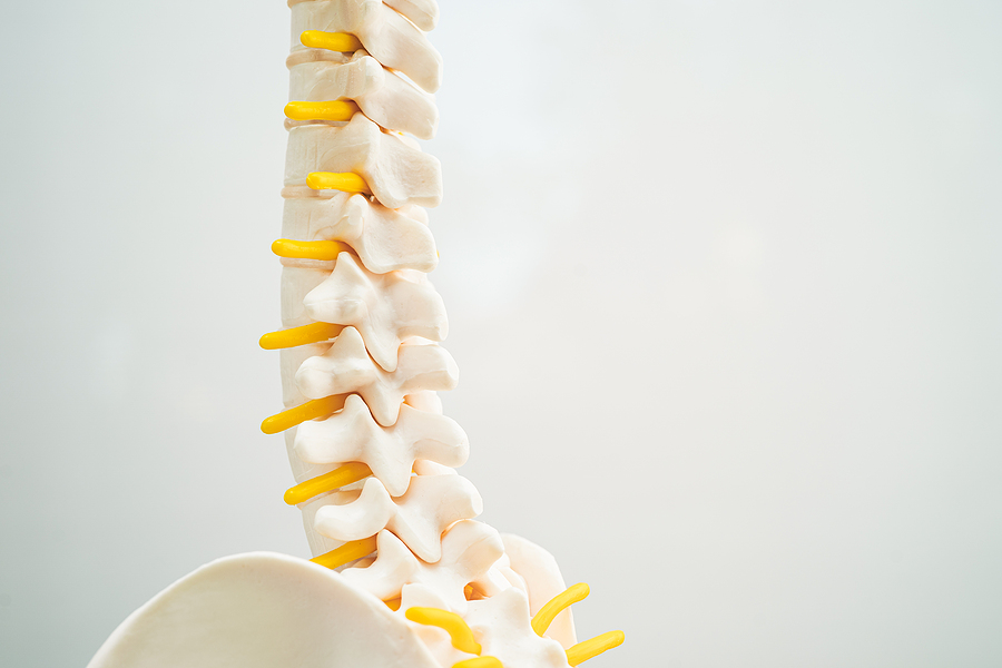 What Kinds of Spinal Cord Injuries are Caused by Car Accidents?