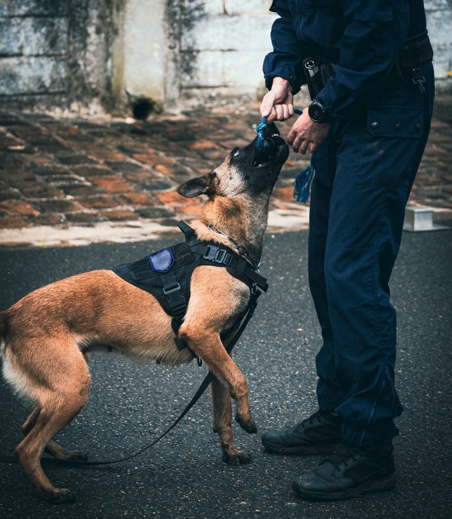 police dog attack