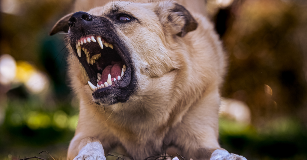 New York Law Shifts To Allow Negligence Claims in Dog Bite Cases