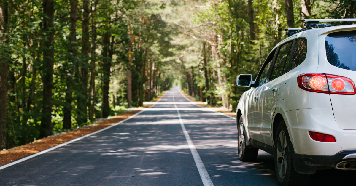 White SUV driving on a tree-lined road during summer.