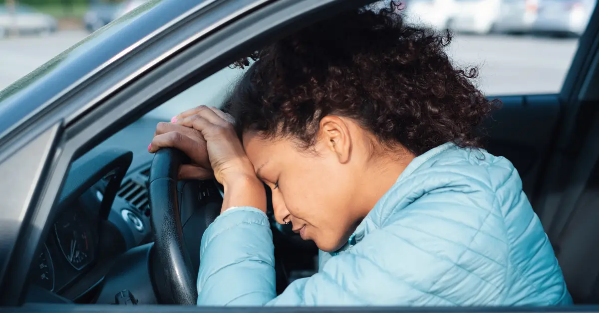 What To Do If You Hit A Dog With Your Car? what happens if you hit a dog with your car in New York