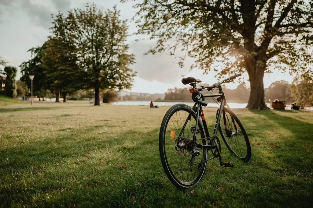 How To Look For A Bicycle Accident Lawyer Near Me? bicycle accident attorney