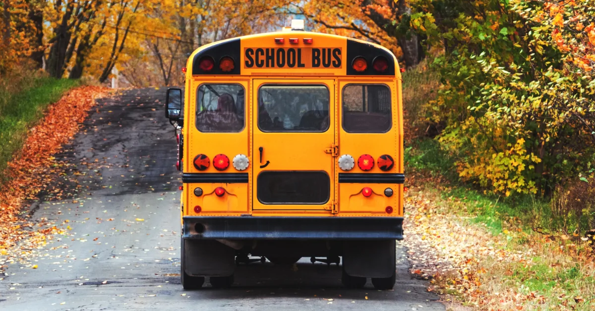 A school bus driving on a narrow road in Autumn